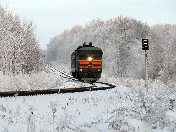 В Петербурге запускают бесплатные электрички «Лыжные стрелы» 