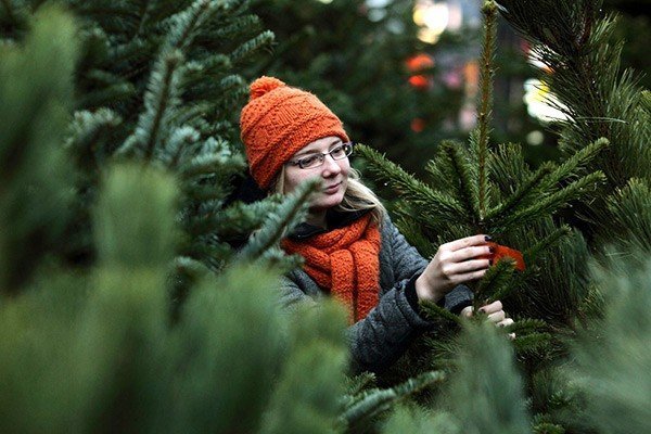 Ёлочные базары по всему городу откроются 20 декабря