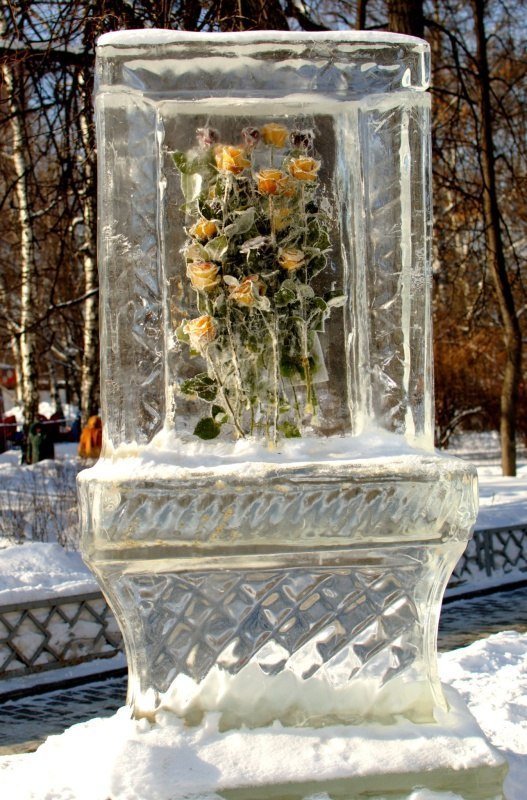 Фестиваль «Цветы зимой»
