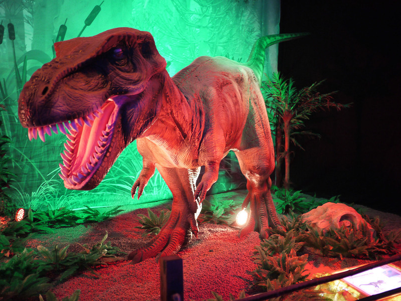 Инсталляция «Город динозавров»