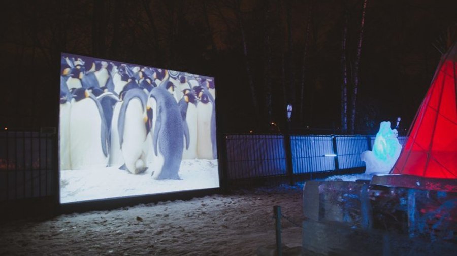 Посмотреть увлекательные фильмы можно в «ледяном» кинотеатре в «Сокольниках»