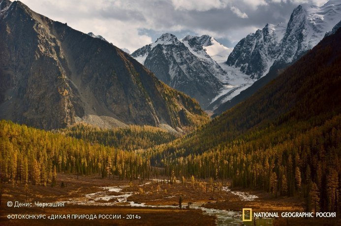Выставка «Дикая природа России - 2014»