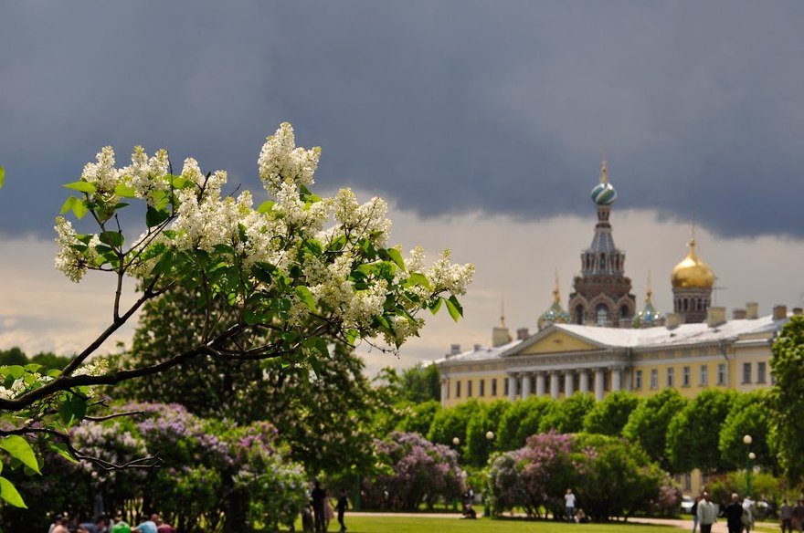 Встреча весны