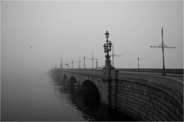 В субботу Петербург вновь окутает густым туманом