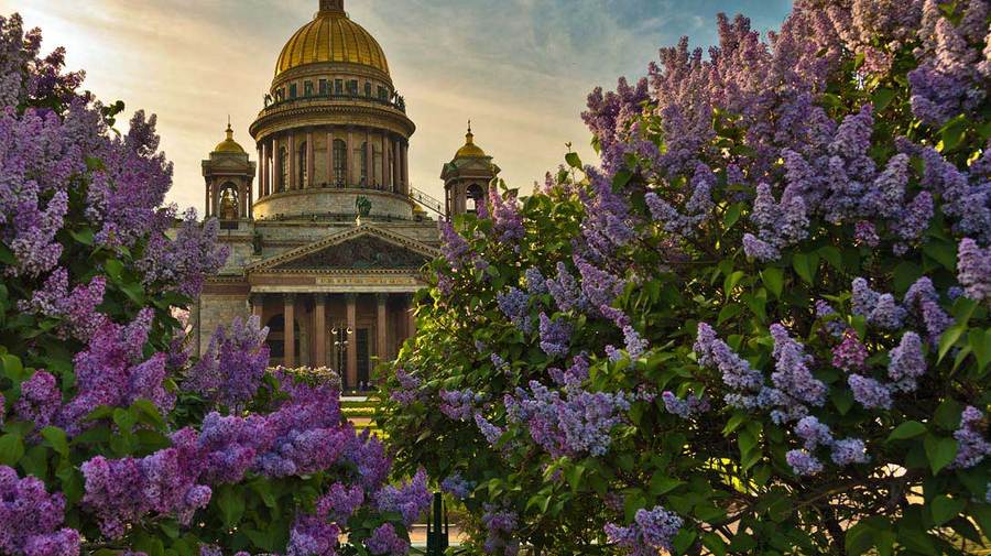 В город приходит по-настоящему тёплая весна