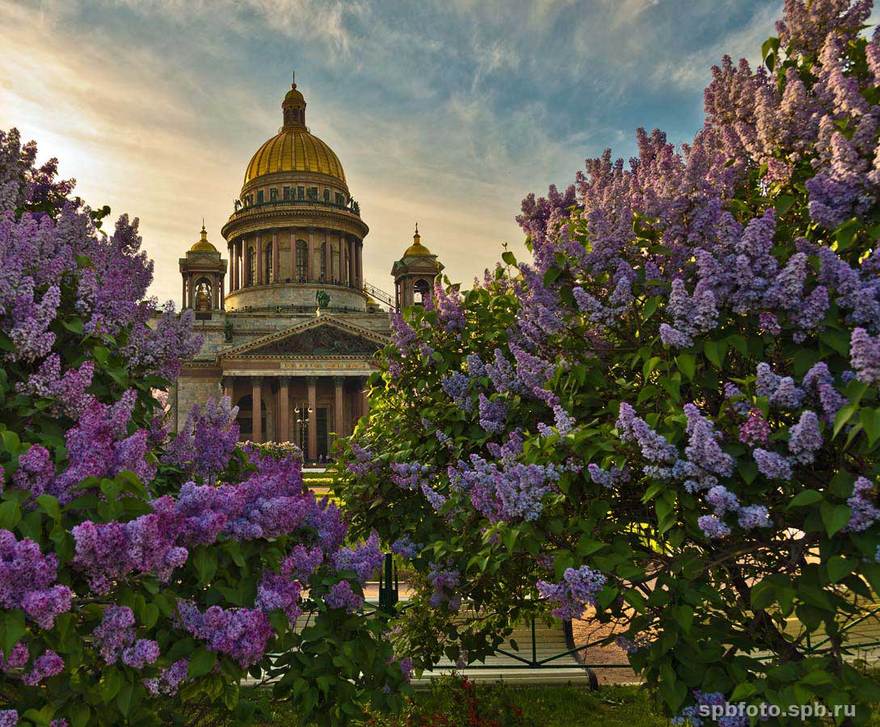 В город приходит по-настоящему тёплая весна