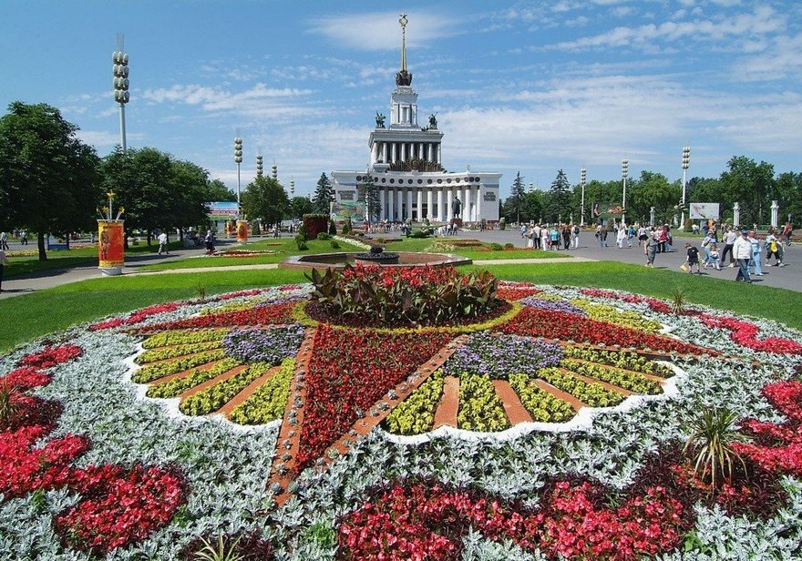 Почти 11 миллионов однолетних цветов высадят в городе