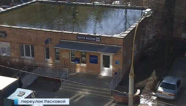 На крыше дома на севере города появился бассейн с утками
