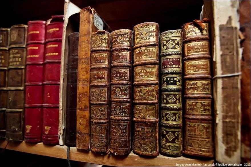 В библиотеках могут открыться магазины редких книг