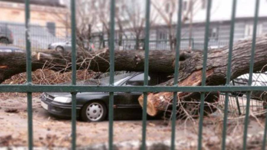 Ураган будет властвовать в столице до выходных