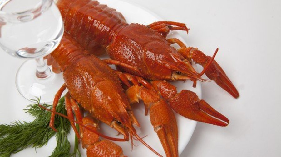 Rakovarka: живые раки и свежие морепродукты круглый год