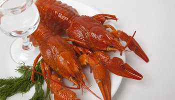 Rakovarka: живые раки и свежие морепродукты круглый год