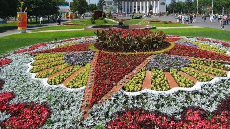 Клумбы с символикой Великой Победы из миллионов цветов украсят город