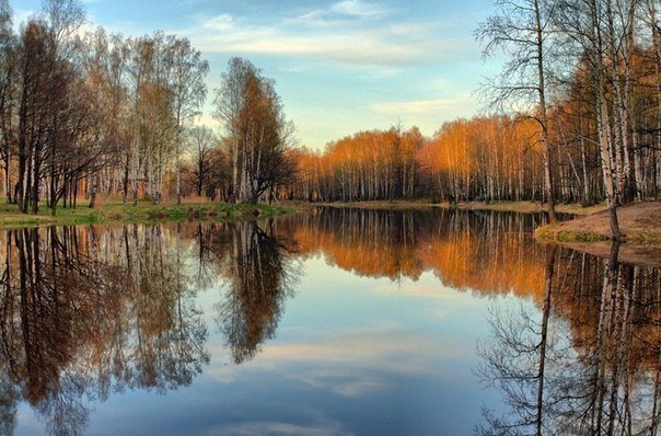 «Чистые Игры»: Чистый Петергоф