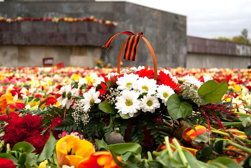 Георгиевскую ленту из 20000 цветов создадут на Дворцовой площади