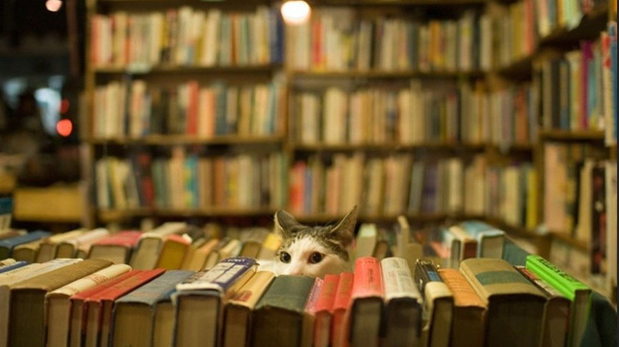 Петербуржцы обменяют сигарету на книгу