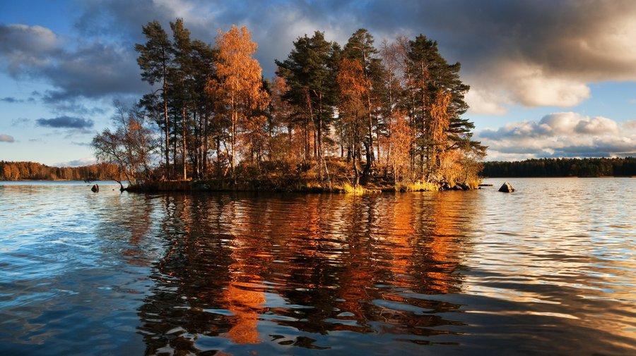 Ленобласть переименуют в Невский край