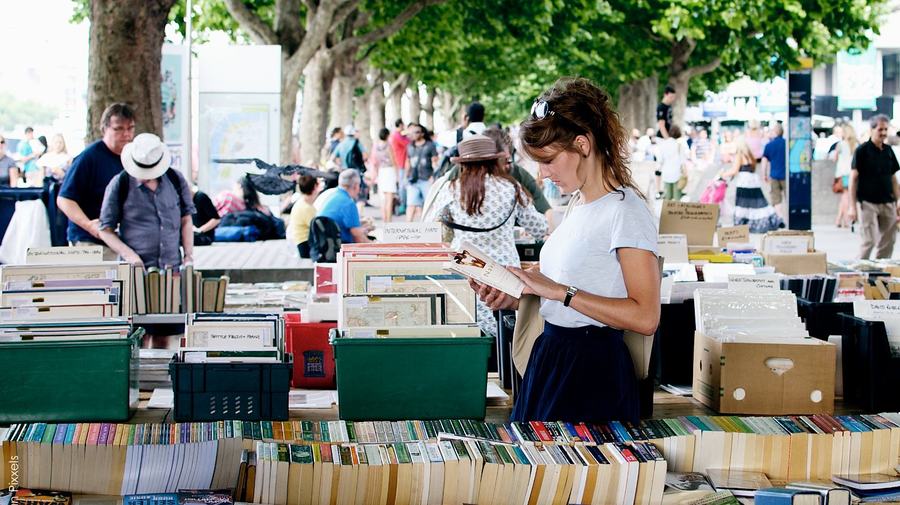 Книжные аллеи вырастут у стен Инженерного замка