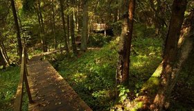 Экологическая тропа «Комаровский берег» — зелёный музей под открытым небом