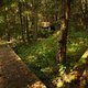 Экологическая тропа «Комаровский берег» — зелёный музей под открытым небом