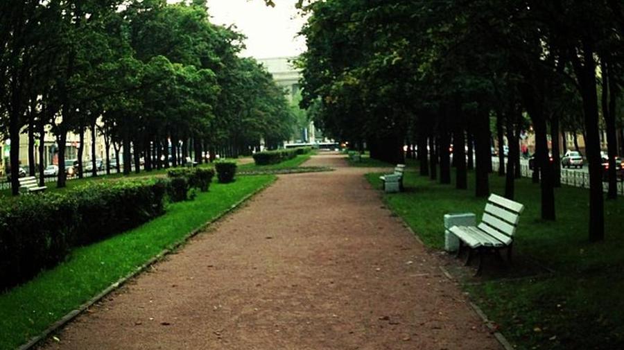 Сквер «Северная роща»