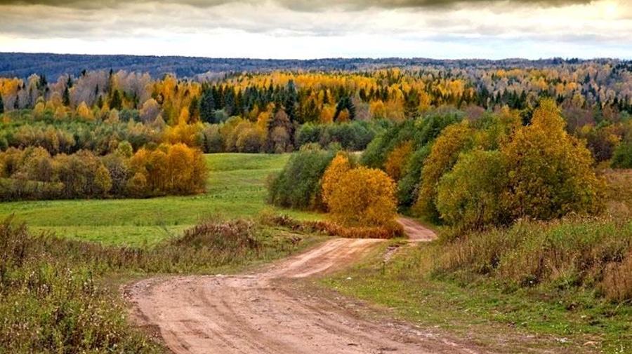 Вепсский лес