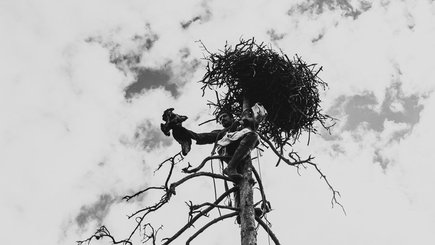 Школа современной фотожурналистики «ДокДокДок»: место, где останавливают мгновения — фото 5