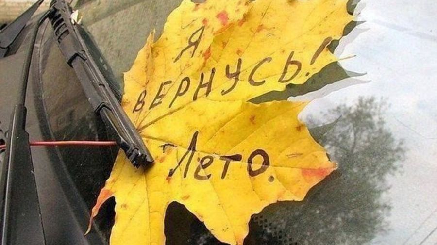 Бабье лето спешит в Петербург