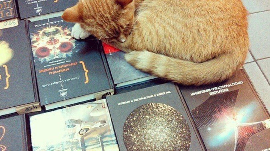Магазин «Свои книги» распродает интересную литературу