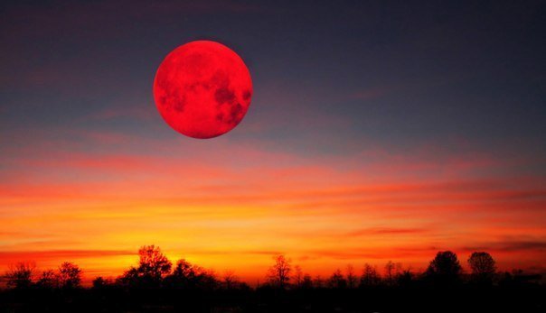 Петербуржцы увидят редкую «кровавую луну»