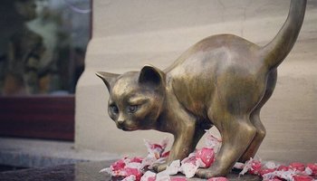 Котенок Фунтик — пушистый исполнитель детских желаний 