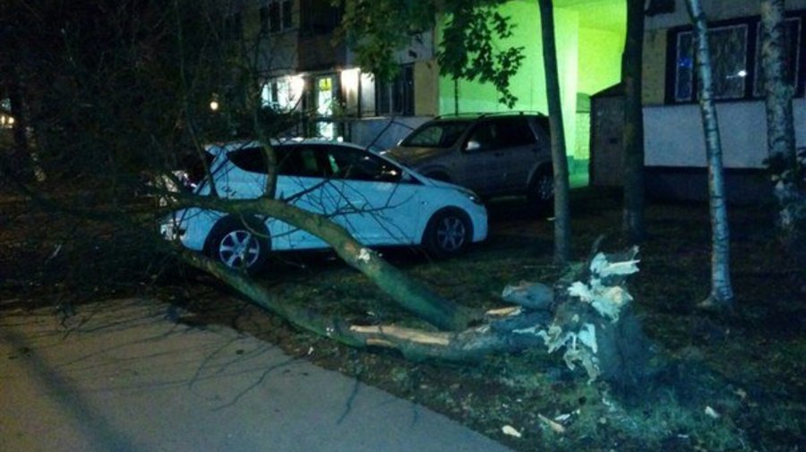 Петербург стал жертвой урагана «Валио»