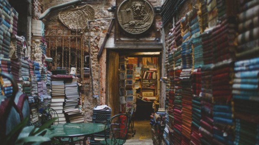 В Петербурге вырастут Рождественские книжные аллеи