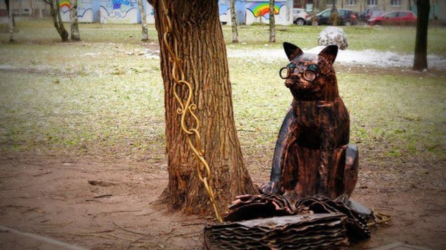 Ученый кот