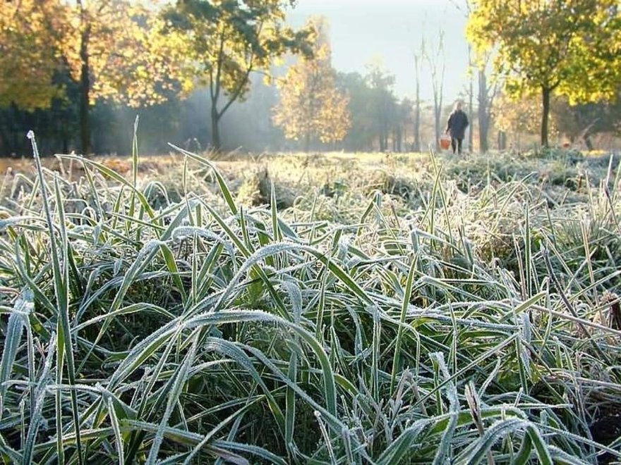 К середине недели в Петербург придут заморозки