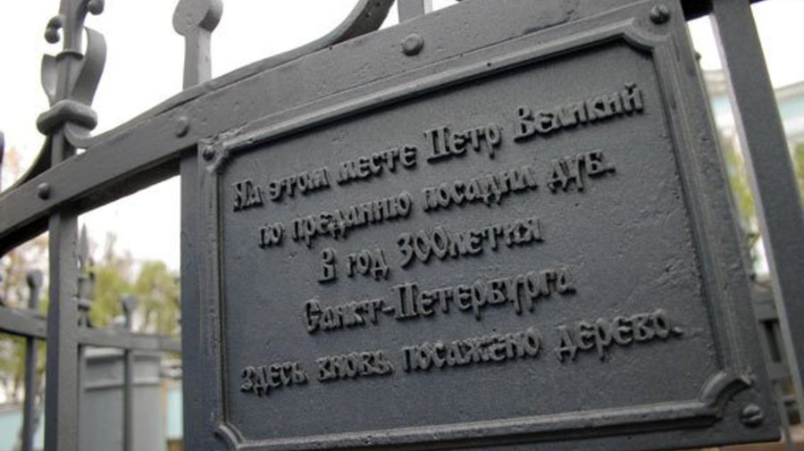 Дуб Петра Первого