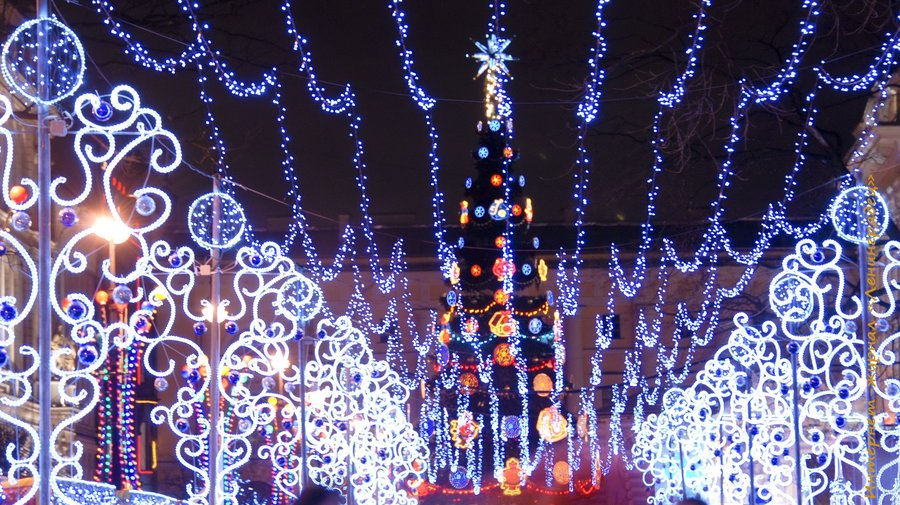 Невский проспект превратится в волшебный зимний сад