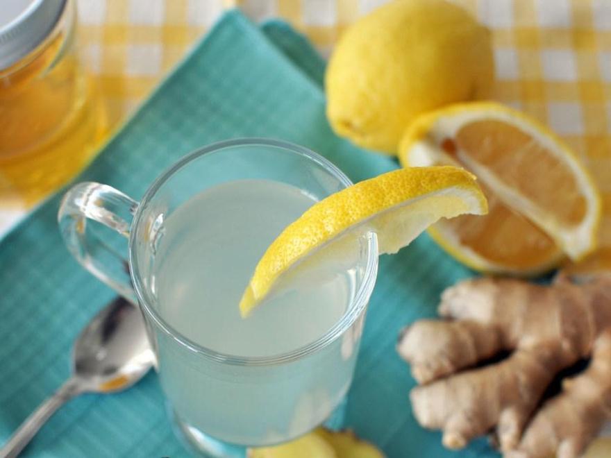 Кафе «Ботаника»