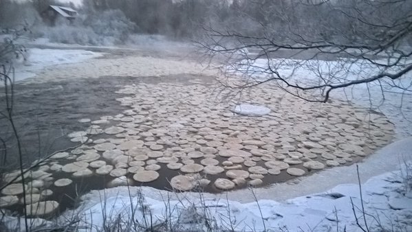 Удивительные ледяные «блины» появились на поверхности финских рек