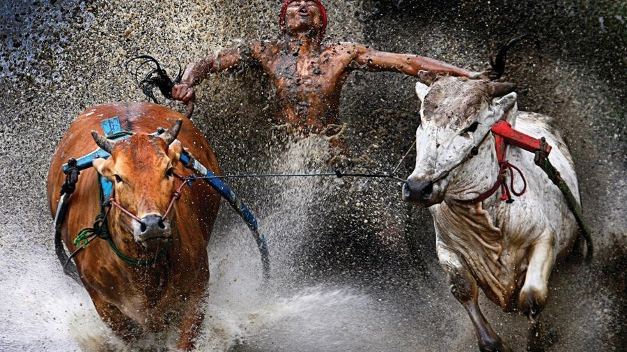 World Press Photo 2013