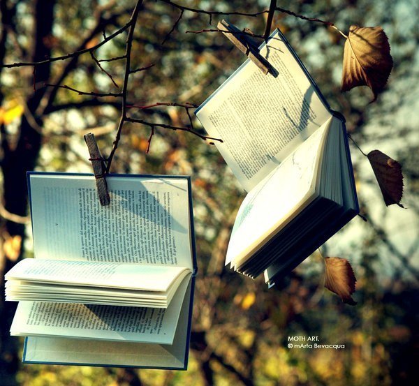 «Книговорот»