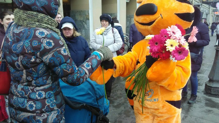 Рыжий кот на Невском дарит девушкам цветы