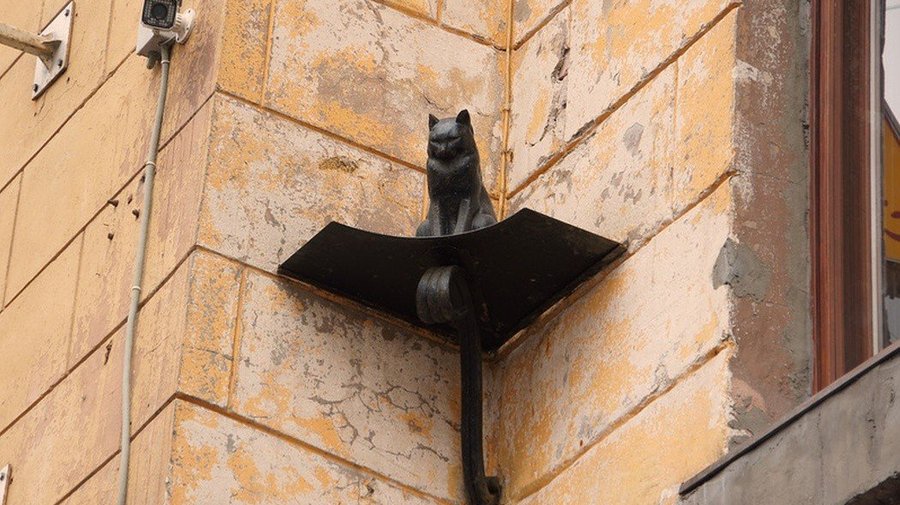 Коты