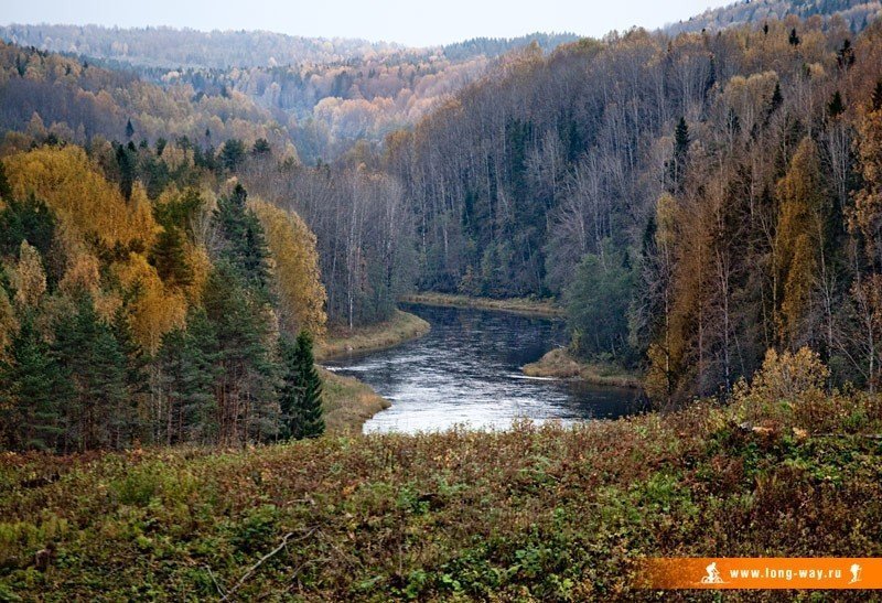 Вепсский Лес