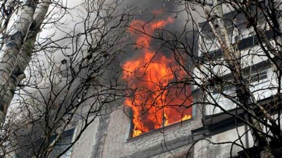 Петербургский шестиклассник спас собаку из огня и дом от пожара
