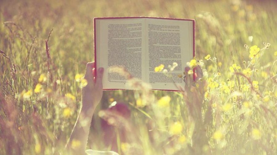 Петербуржцы могут обменять книгу на бесплатные посещения оранжереи Таврического сада
