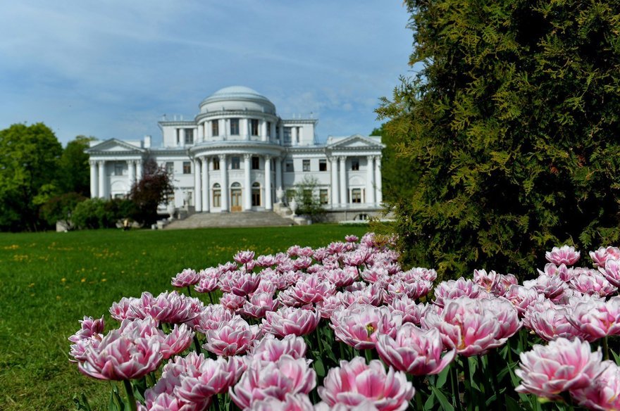 7 цветущих садов в Петербурге