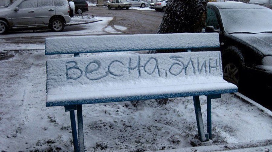 Петербуржцев заметет снегом