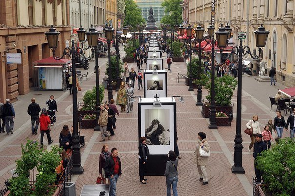 Выставка фотографий в санкт петербурге