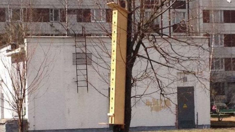 В Калининском районе появился многоэтажный скворечник